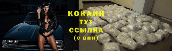 тгк Абаза
