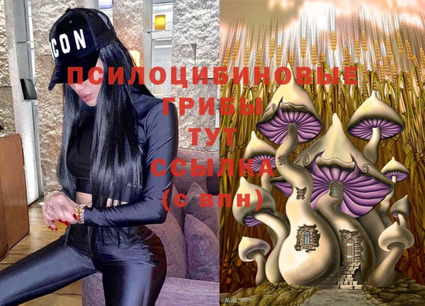 прущий лед Тайга